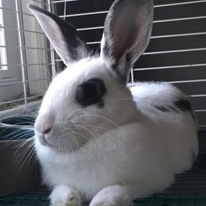 Meet your Posher, Sianna